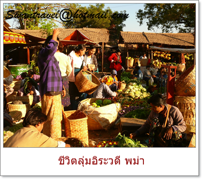 ทัวร์ต่างประเทศ พม่า39-20100525ชีวิตลุ่มอิระวดี